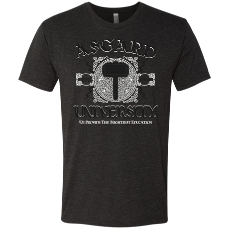 T-Shirts Vintage Black / Small Asgard University Men's Triblend T-Shirt