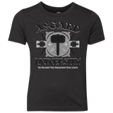 T-Shirts Vintage Black / YXS Asgard University Youth Triblend T-Shirt
