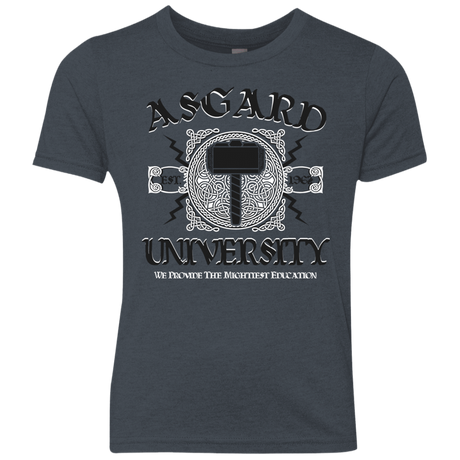 T-Shirts Vintage Navy / YXS Asgard University Youth Triblend T-Shirt