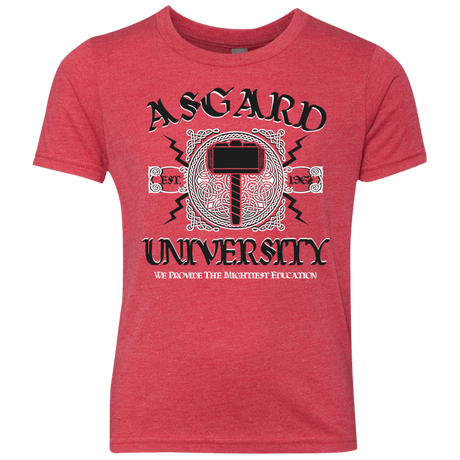T-Shirts Vintage Red / YXS Asgard University Youth Triblend T-Shirt