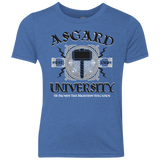 T-Shirts Vintage Royal / YXS Asgard University Youth Triblend T-Shirt