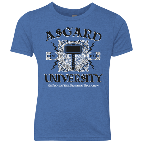 T-Shirts Vintage Royal / YXS Asgard University Youth Triblend T-Shirt