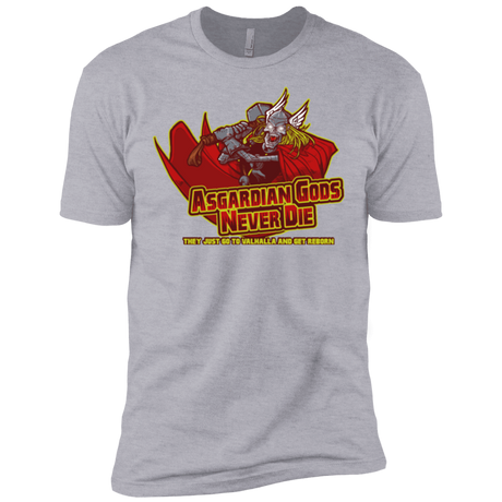 T-Shirts Heather Grey / X-Small Asgardian Men's Premium T-Shirt