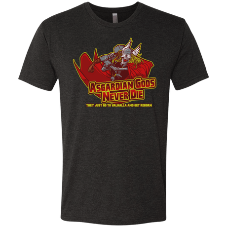 T-Shirts Vintage Black / S Asgardian Men's Triblend T-Shirt