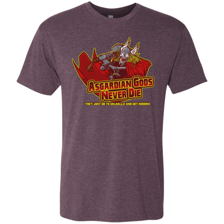 T-Shirts Vintage Purple / S Asgardian Men's Triblend T-Shirt