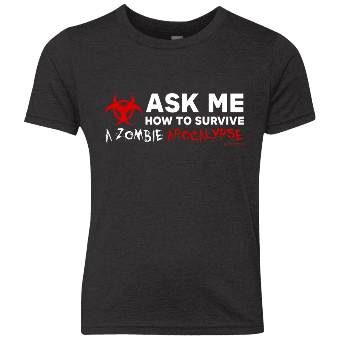 Ask Me How To Survive A Zombie Apocalypse Youth Triblend T-Shirt