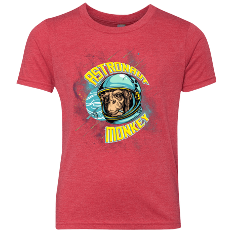 T-Shirts Vintage Red / YXS ASTRONAUT MONKEY Youth Triblend T-Shirt