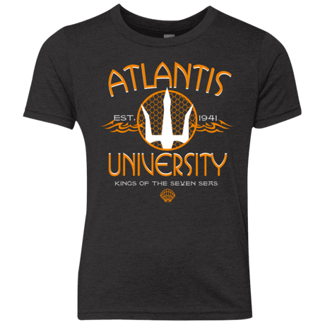 T-Shirts Vintage Black / YXS Atlantis University Youth Triblend T-Shirt