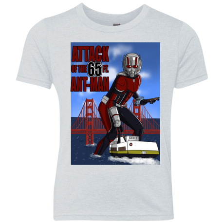 T-Shirts Heather White / YXS Attack of the 65 ft. Ant-Man Youth Triblend T-Shirt