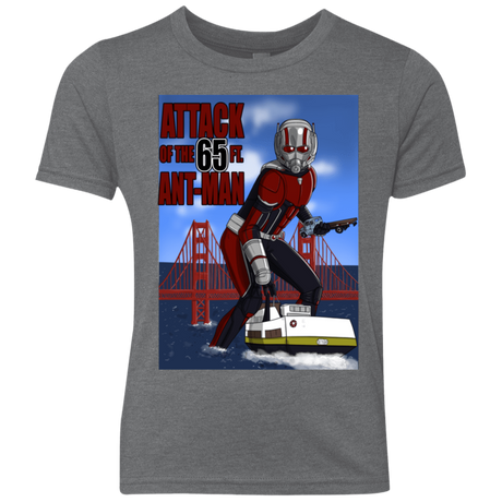 T-Shirts Premium Heather / YXS Attack of the 65 ft. Ant-Man Youth Triblend T-Shirt