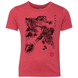 Attack of the space pirates Youth Triblend T-Shirt