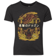 T-Shirts Vintage Black / YXS Attack on Dragon Youth Triblend T-Shirt