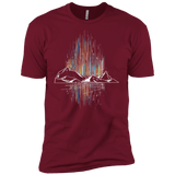 Aurora Men's Premium T-Shirt