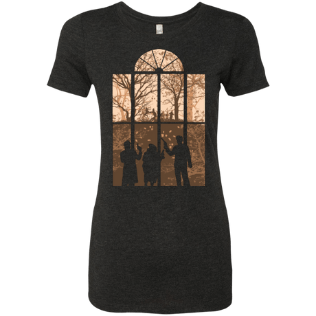 T-Shirts Vintage Black / Small Autumn in Astoria 1 Women's Triblend T-Shirt