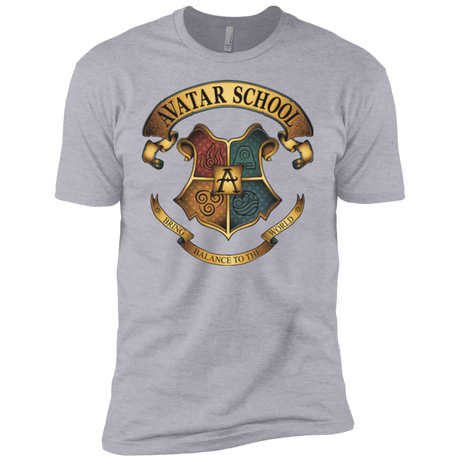 T-Shirts Heather Grey / YXS Avatar School (2) Boys Premium T-Shirt