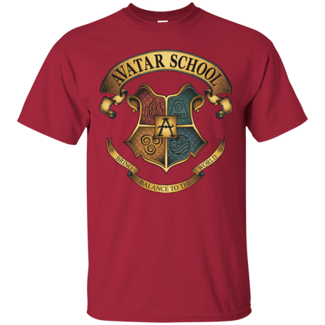 T-Shirts Cardinal / Small Avatar School (2) T-Shirt