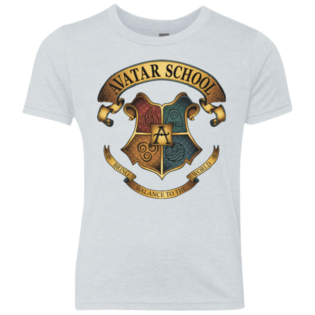 T-Shirts Heather White / YXS Avatar School (2) Youth Triblend T-Shirt