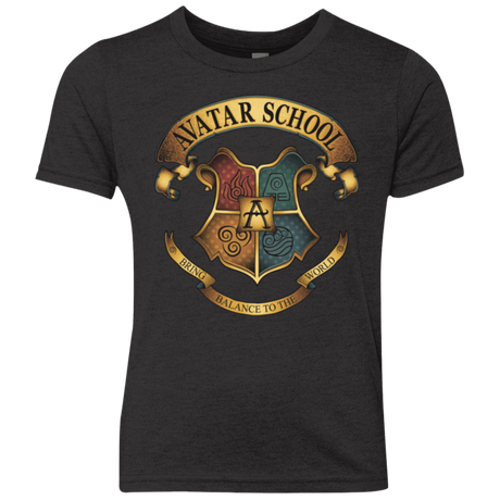 T-Shirts Vintage Black / YXS Avatar School (2) Youth Triblend T-Shirt