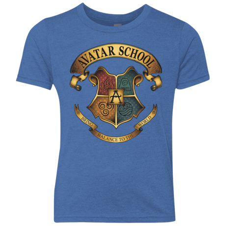 T-Shirts Vintage Royal / YXS Avatar School (2) Youth Triblend T-Shirt