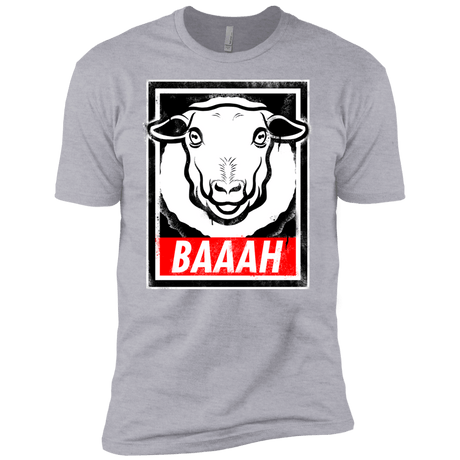 T-Shirts Heather Grey / YXS BAAAH Boys Premium T-Shirt