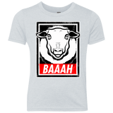 T-Shirts Heather White / YXS BAAAH Youth Triblend T-Shirt