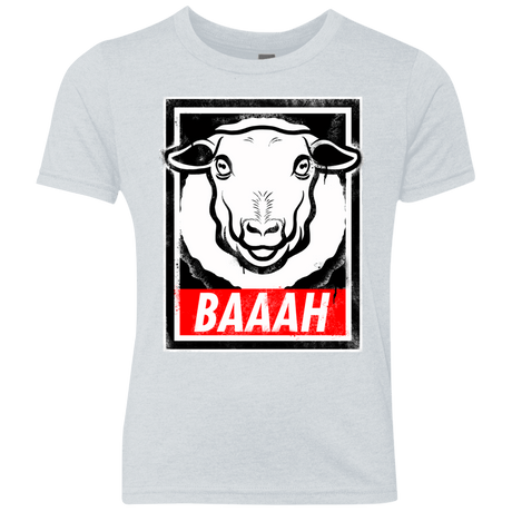 T-Shirts Heather White / YXS BAAAH Youth Triblend T-Shirt