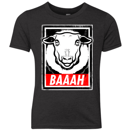 T-Shirts Vintage Black / YXS BAAAH Youth Triblend T-Shirt