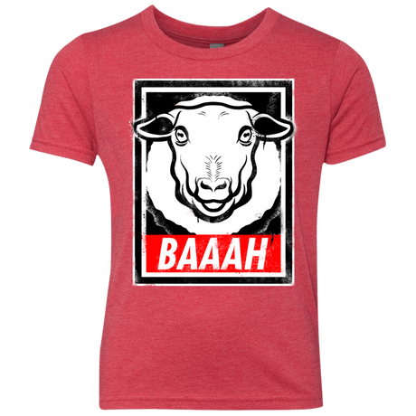 T-Shirts Vintage Red / YXS BAAAH Youth Triblend T-Shirt