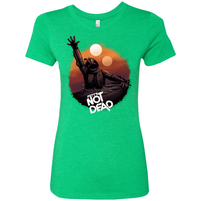 T-Shirts Envy / Small Back From The Pit Women's Triblend T-Shirt