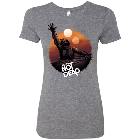 T-Shirts Premium Heather / Small Back From The Pit Women's Triblend T-Shirt