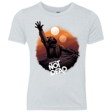 T-Shirts Heather White / YXS Back From The Pit Youth Triblend T-Shirt