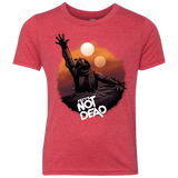 T-Shirts Vintage Red / YXS Back From The Pit Youth Triblend T-Shirt