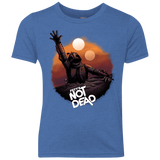 T-Shirts Vintage Royal / YXS Back From The Pit Youth Triblend T-Shirt