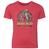 T-Shirts Vintage Red / YXS Back to Japan Youth Triblend T-Shirt
