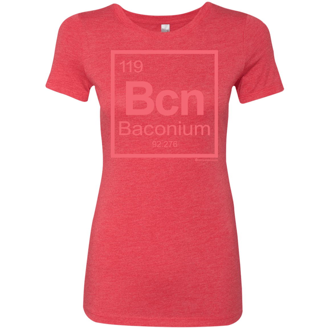 Baconium Women's Triblend T-Shirt