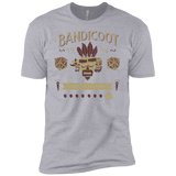 T-Shirts Heather Grey / YXS Bandicoot Time Boys Premium T-Shirt