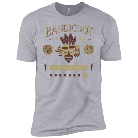 T-Shirts Heather Grey / YXS Bandicoot Time Boys Premium T-Shirt