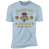 T-Shirts Light Blue / YXS Bandicoot Time Boys Premium T-Shirt