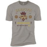 T-Shirts Light Grey / YXS Bandicoot Time Boys Premium T-Shirt
