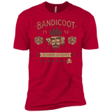 T-Shirts Red / YXS Bandicoot Time Boys Premium T-Shirt