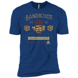 T-Shirts Royal / YXS Bandicoot Time Boys Premium T-Shirt