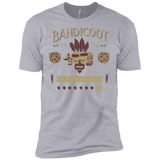 T-Shirts Heather Grey / X-Small Bandicoot Time Men's Premium T-Shirt