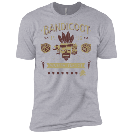 T-Shirts Heather Grey / X-Small Bandicoot Time Men's Premium T-Shirt