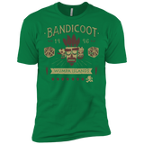 T-Shirts Kelly Green / X-Small Bandicoot Time Men's Premium T-Shirt