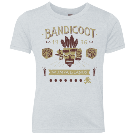 T-Shirts Heather White / YXS Bandicoot Time Youth Triblend T-Shirt