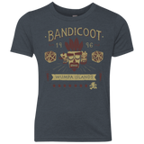T-Shirts Vintage Navy / YXS Bandicoot Time Youth Triblend T-Shirt