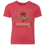 T-Shirts Vintage Red / YXS Bandicoot Time Youth Triblend T-Shirt