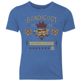 T-Shirts Vintage Royal / YXS Bandicoot Time Youth Triblend T-Shirt
