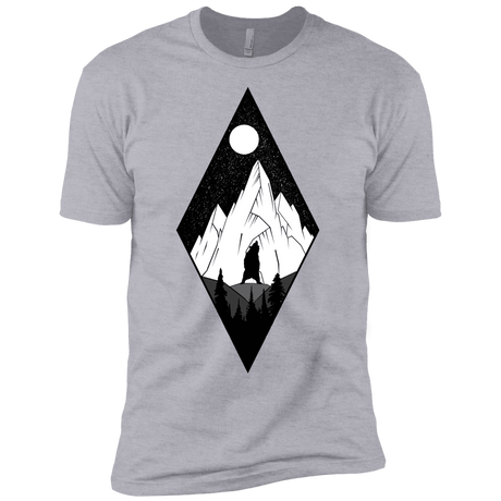T-Shirts Heather Grey / YXS Bear Diamond Boys Premium T-Shirt