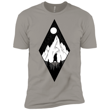 T-Shirts Light Grey / YXS Bear Diamond Boys Premium T-Shirt